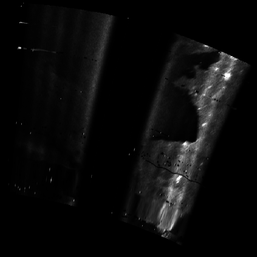 ascat_grayscale_proj_downward.png